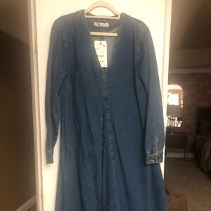 NWT Zara Denim Maxi Dress
